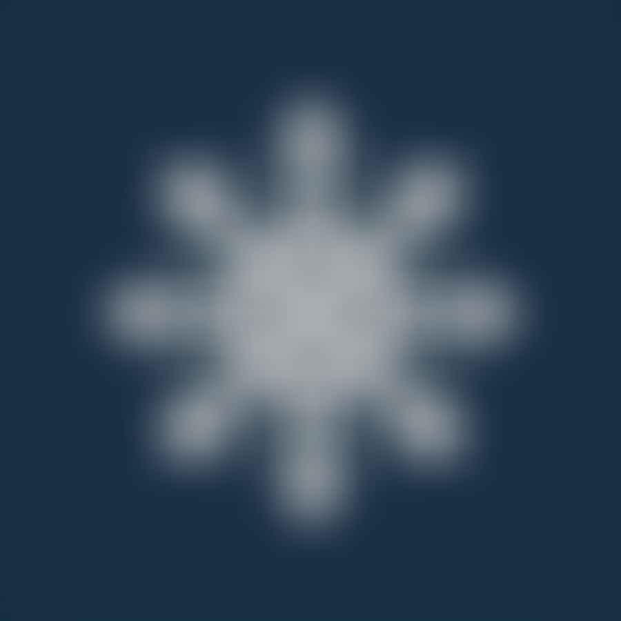 Detailed snowflake design on nail